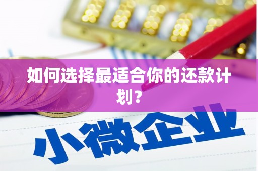 宣汉如何选择最适合你的还款计划？