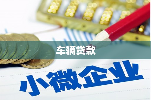 宣汉车辆贷款
