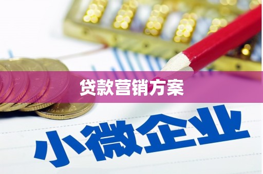 宣汉贷款营销方案