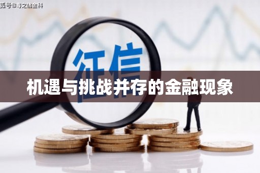 宣汉机遇与挑战并存的金融现象