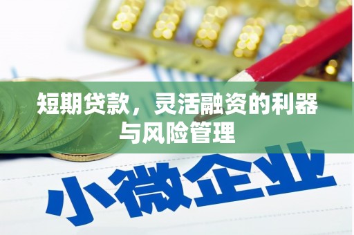 宣汉短期贷款，灵活融资的利器与风险管理