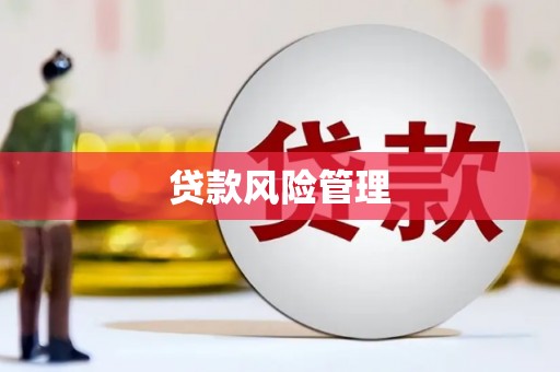 宣汉贷款风险管理