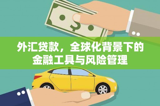宣汉外汇贷款，全球化背景下的金融工具与风险管理