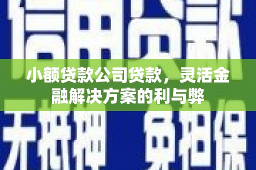 宣汉小额贷款公司贷款，灵活金融解决方案的利与弊